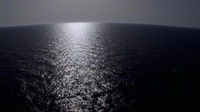 The sad fact of it is that - Mission Blue