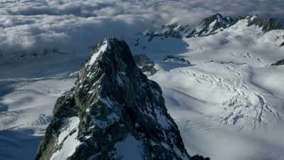 The same forces
that tore Gondwana apart - Modern Dinosaurs