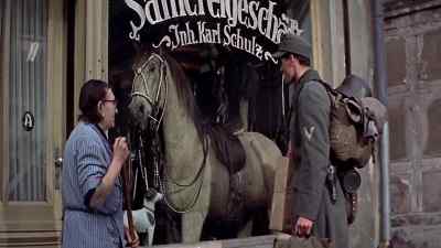 The same horse! Hasn't changed
since I was seven years old. - A Time to Love and a Time to Die