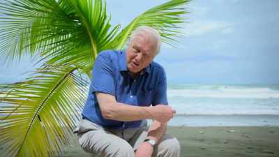 The same is true in the sea, - Attenborough's Life in Colour