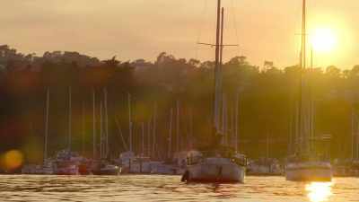 The sanctuary also nurtures life
beyond its waters. - Our Great National Parks