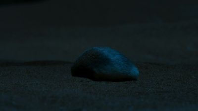 The sand is the mole's only escape from biting termites... - Tiny World