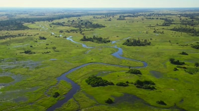 'The savannahs are at their lushest, - A Year on Planet Earth