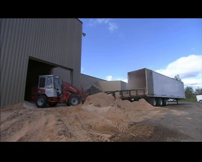 THE SAWDUST IS CLEAN, - How It's Made