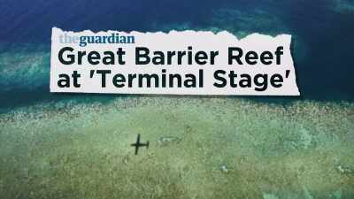 >> THE SCALE OF THIS UNNATURAL - The Jim Jefferies Show