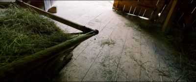The scent in the barn - A Hidden Life