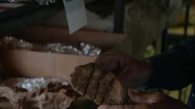THE SCUTE IS WHAT IS ACTUALLY
CALLED AN OSTEODERM. - Dino Hunters