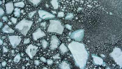The sea ice breaks up every year, - Our Planet