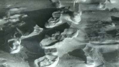 The searches followed the
partially visible tracks - An Unknown Compelling Force