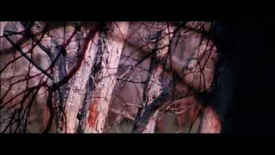 The seasons passed, - The Legend of Boggy Creek