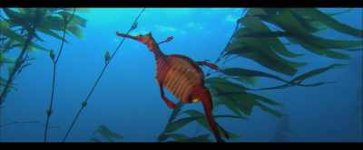 The seaweed could be
particularly valuable - 2040