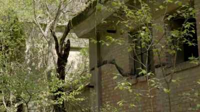 The secluded location
chosen for this complex - Secret Nazi Ruins