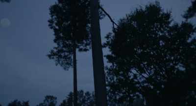 The second will be
a magnetometer survey - Hatching