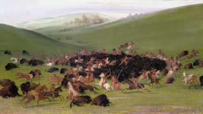 The semi-nomadic tribes were
already killing more buffalo - The American Buffalo