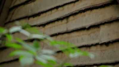 The seven-metre-long main timbers
had to be walked down the path - Extraordinary Escapes with Sandi Toksvig