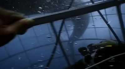 The shark ignored a
diver outside the cage - Shark Attack Files