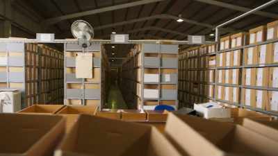 The sheer volume and
backlog of digitisation - This Giant Beast That is the Global Economy