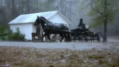 The sheriff was herearlier. - The Vampire Diaries