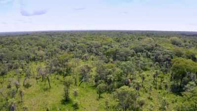THE SITE IS SURROUNDED
BY A MASSIVE DITCH - Lost Cities of the Amazon