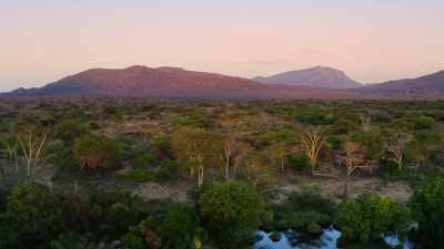 The small green oasis at Mzima Springs - Our Great National Parks