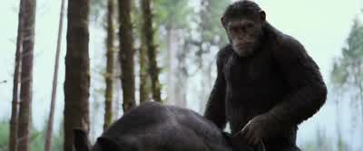 The soldiers' camp is always moving. - War for the Planet of the Apes