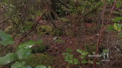 The solitude, you know, - Alone