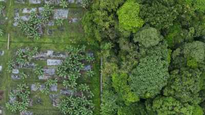 The solution, of course, - The Green Planet
