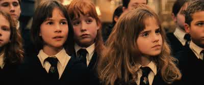 The Sorting Ceremony will begin momentarily. - Harry Potter and the Philosopher's Stone