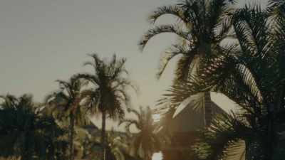 The sources on Rome
don't have any details about... - Queen Cleopatra