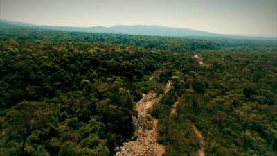the-south-american-bigfoot - Expedition Mungo