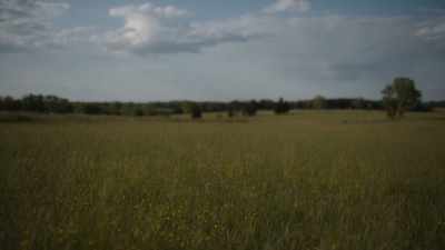 The south will win
its independence - Abraham Lincoln