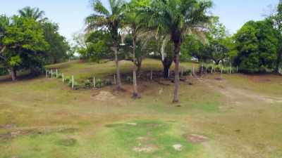 THE SPANISH MISSIONARY'S
DESCRIPTION - Lost Cities of the Amazon