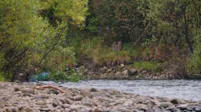 The Spey is just beginning
its final descent to the North Sea, - World's Most Scenic River Journeys