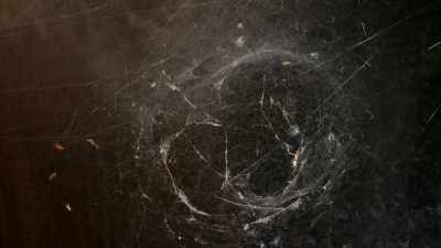 The spiders were having a
problem spinning a normal web. - One Strange Rock