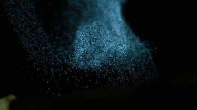 The spores are extremely tiny, - Fantastic Fungi