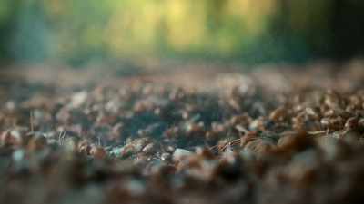 The spores, however, - Super/Natural