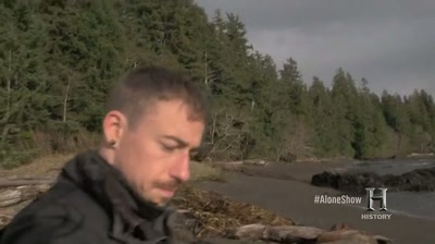 The spruce trees
got really short roots - Alone