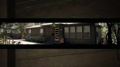 The stark brown
isn't super conventional, - Why the Heck Did I Buy This House?