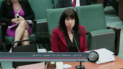 The State Prosecuting Attorney
is appointed by the - Outcry