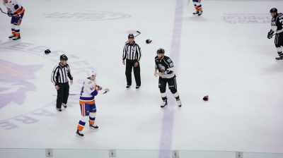 The statistics on - Ice Guardians