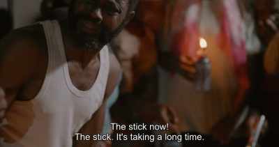 The stick now!
The stick. It's taking a long time. - Swallow