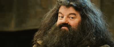 The Stone has been destroyed. - Harry Potter and the Philosopher's Stone