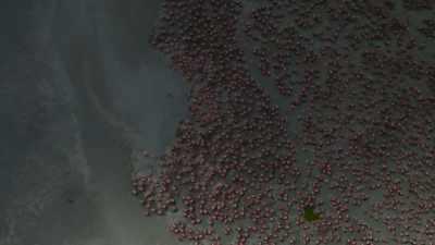 The storms that come each season - Planet Earth III