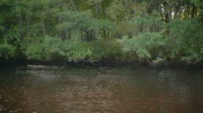 The story begins in 1860, - World's Most Scenic River Journeys