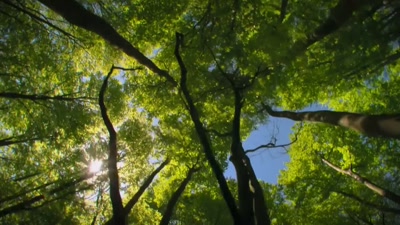 'The strengthening sun - A Year on Planet Earth