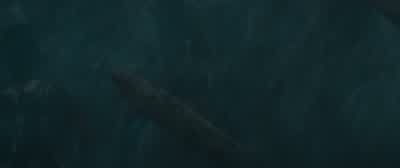 ...the strike position. - Napoleon