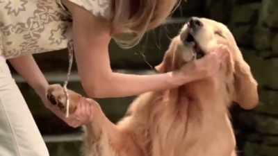 The style of marketing worked, - Pet Fooled