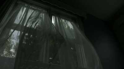 The suicide victim did go, - Eli Roth Presents: A Ghost Ruined My Life