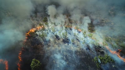 ..the sun can forge hell on earth. - A Year on Planet Earth