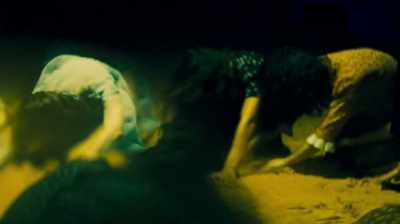 ♪ The Sun Machine
is coming down ♪ - Moonage Daydream